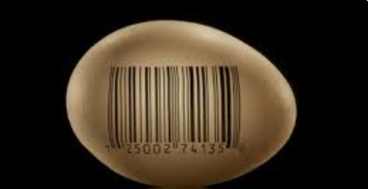 Coding in Food Packaging: A Case Study of Eggs